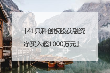 41只科创板股获融资净买入超1000万元