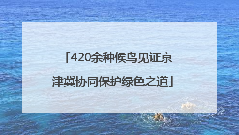 420余种候鸟见证京津冀协同保护绿色之道