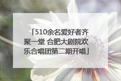 510余名爱好者齐聚一堂 合肥大剧院欢乐合唱团第二期开唱