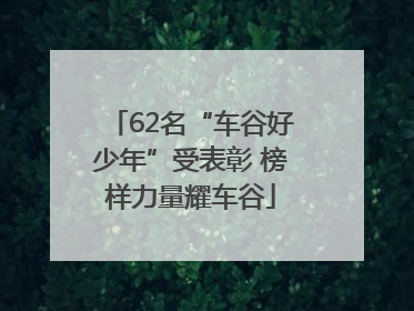 62名“车谷好少年”受表彰 榜样力量耀车谷
