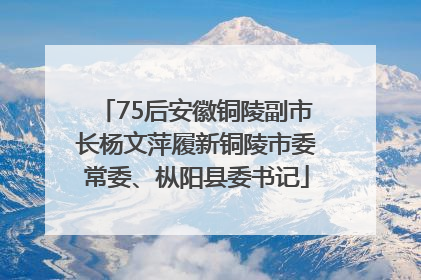 75后安徽铜陵副市长杨文萍履新铜陵市委常委、枞阳县委书记