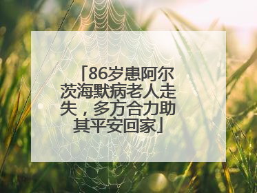 86岁患阿尔茨海默病老人走失，多方合力助其平安回家