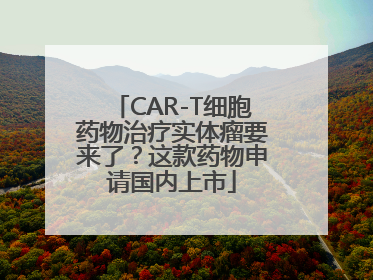 CAR-T细胞药物治疗实体瘤要来了？这款药物申请国内上市