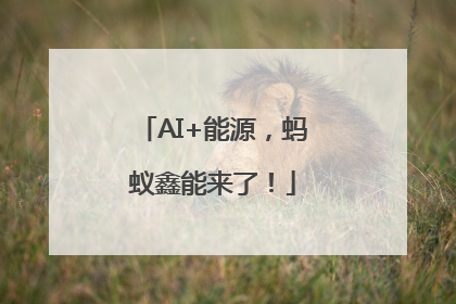 AI+能源，蚂蚁鑫能来了！
