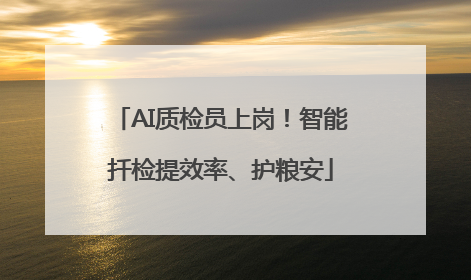 AI质检员上岗！智能扦检提效率、护粮安