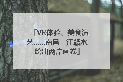 VR体验、美食演艺……南昌一江赣水绘出两岸画卷