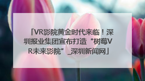 VR影院黄金时代来临！深圳报业集团宣布打造“树莓VR未来影院”_深圳新闻网